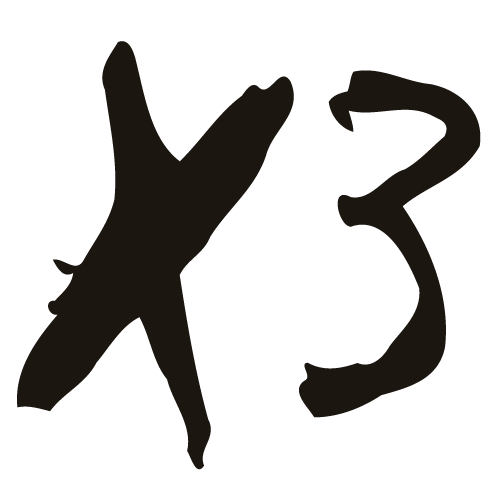 X3 SAS